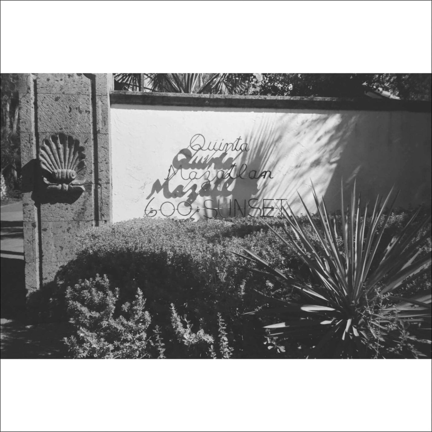 Catlabs x Film 320 Pro Bw 35mm Film 36 Exposures