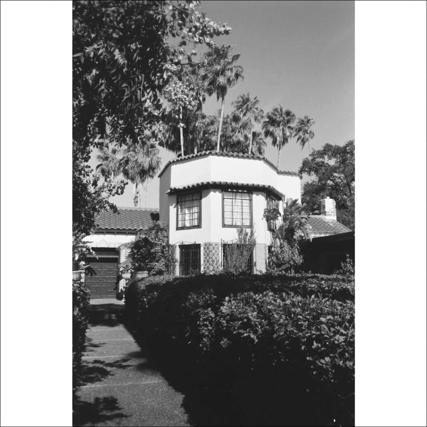 Catlabs x Film 320 Pro Bw 35mm Film 36 Exposures