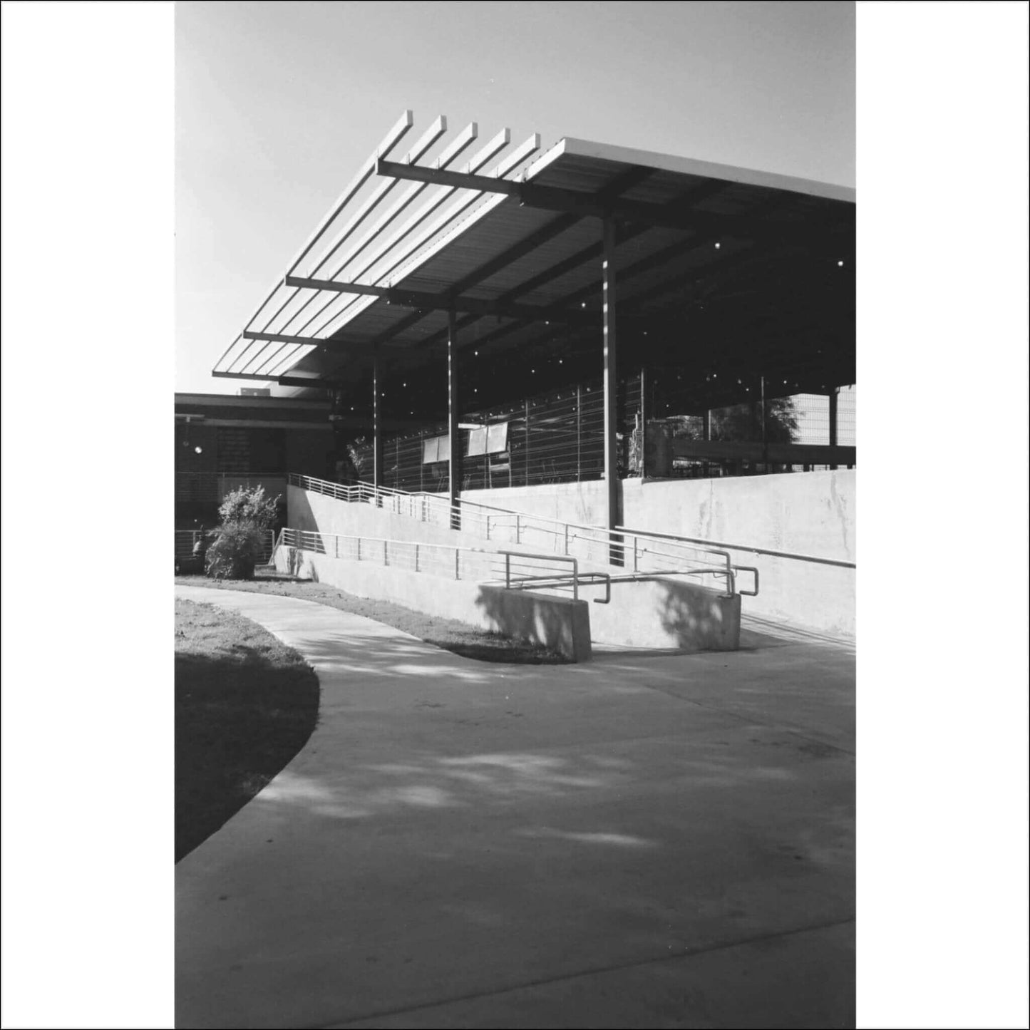 Catlabs x Film 320 Pro Bw 35mm Film 36 Exposures