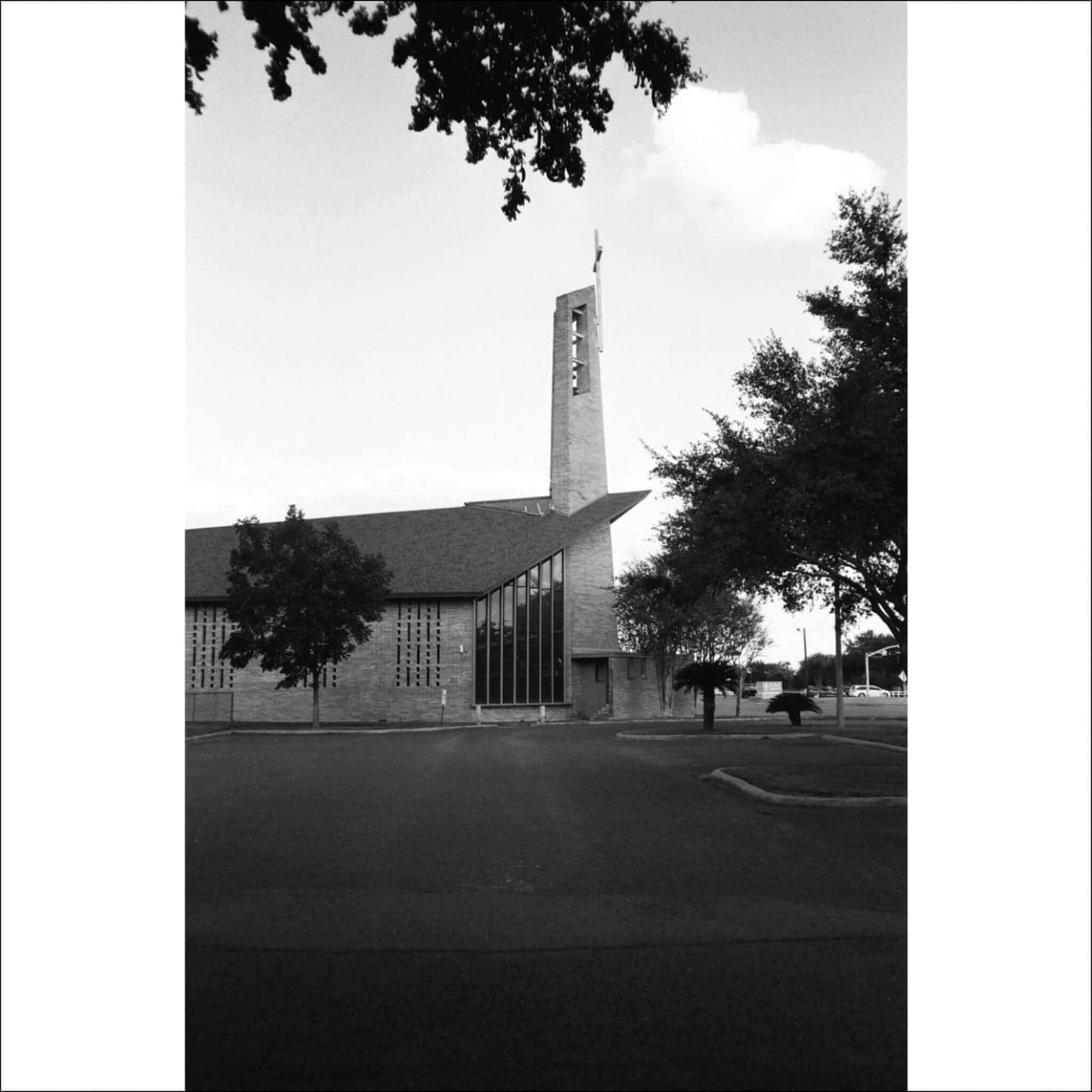 Cinestill Bwxx Double-x 250 Black & White 35mm 36 Exp Film