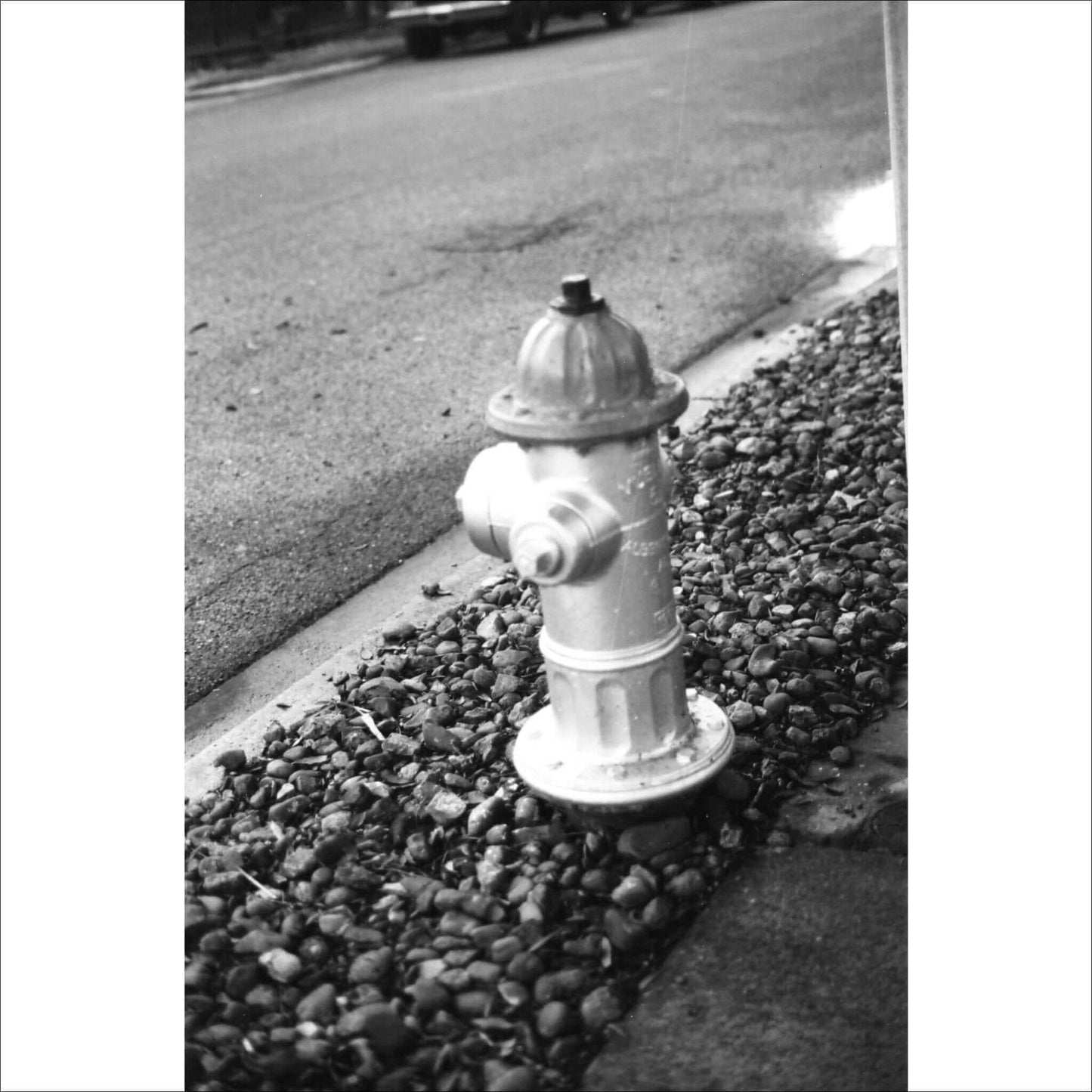 Ferrania P30 80 Iso Black And White 35mm 36 Exp Film