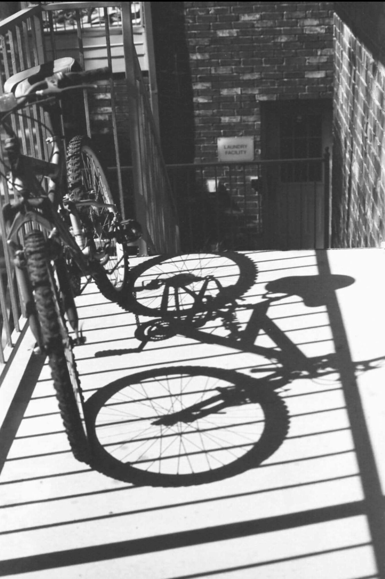 Ferrania P30 80 Iso Black And White 35mm 36 Exp Film