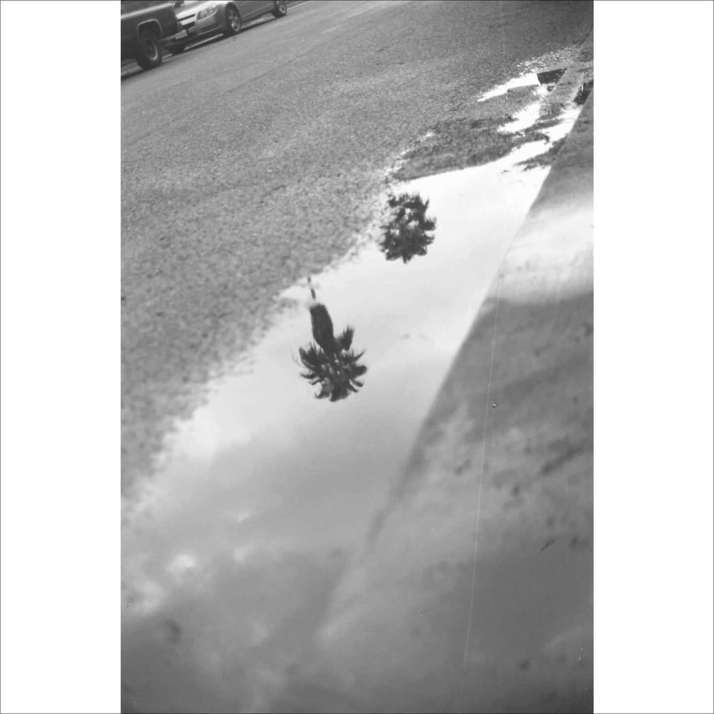 Ferrania P30 80 Iso Black And White 35mm 36 Exp Film