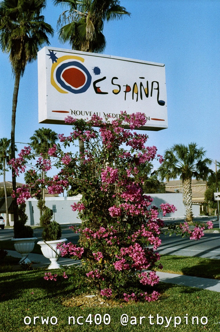 Pentax K1000 / 35mm + ORWO NC400 + España restaurant sign above a tall pink bougainvillea bush