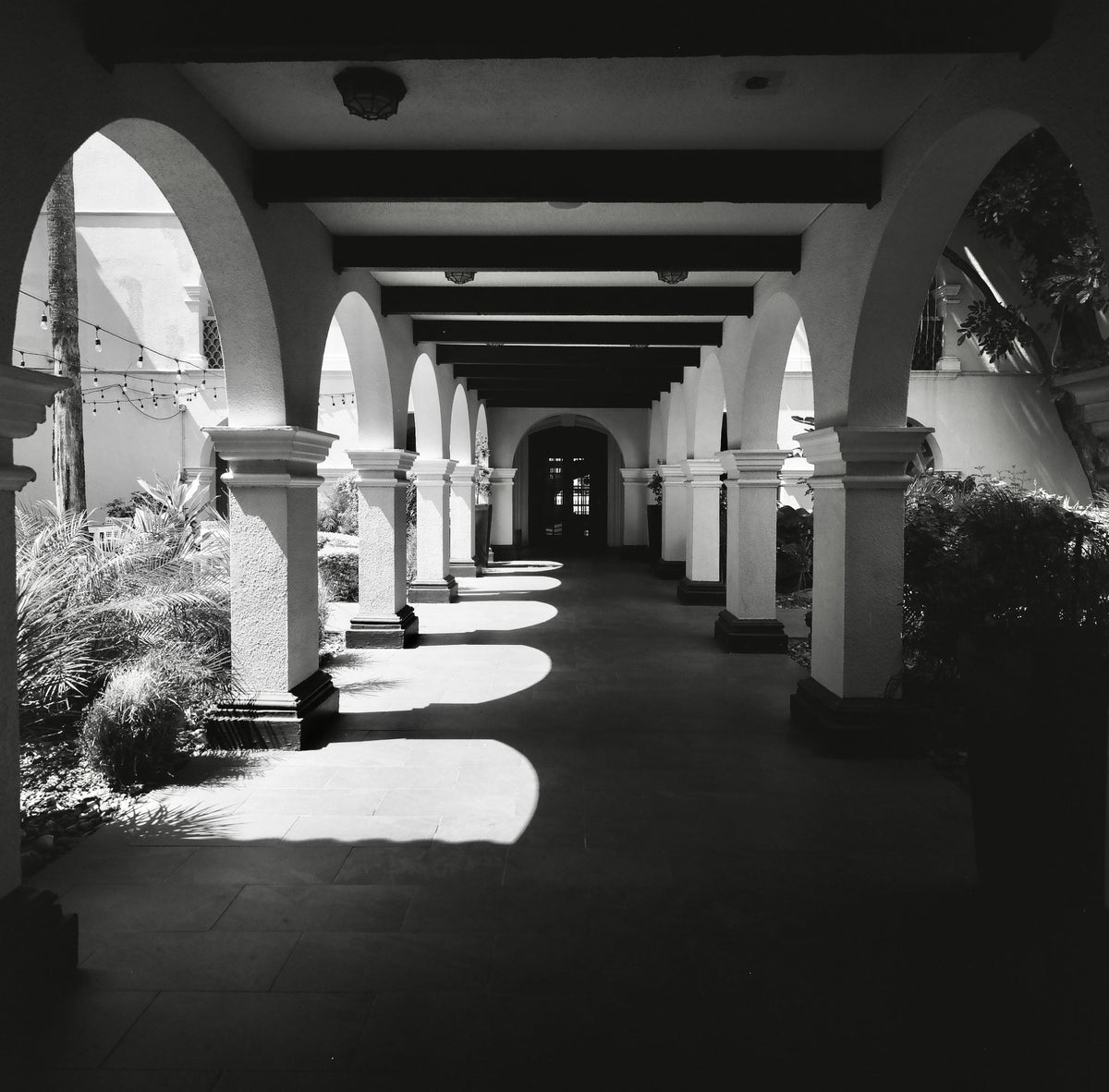 Entrance Casa de Palmas Hotel, McAllen, Texas on Rollei Superpan 200 Film