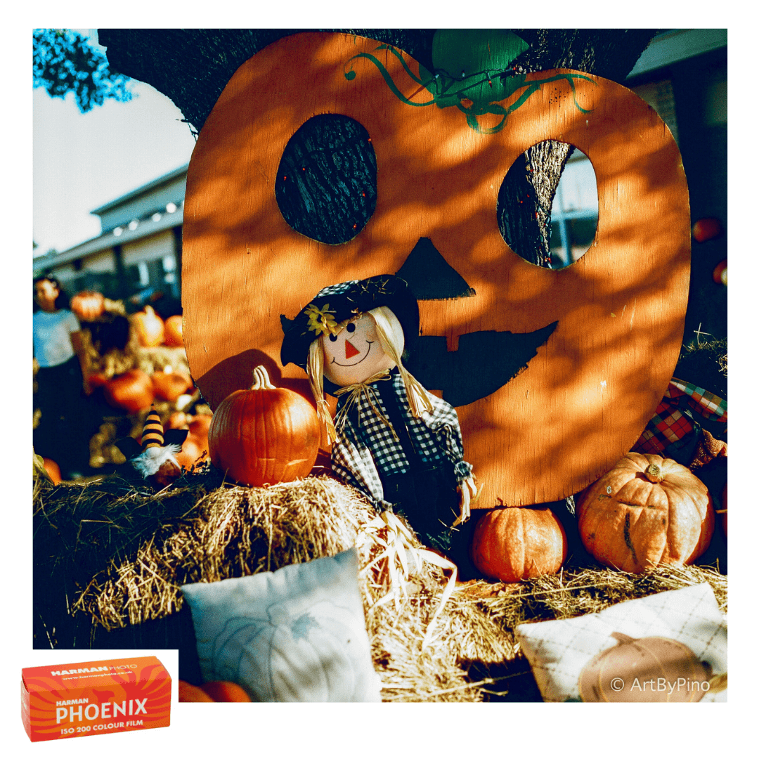 Wooden pumpkin cutout with scarecrow at a pumpkin patch — Harman Phoenix 200