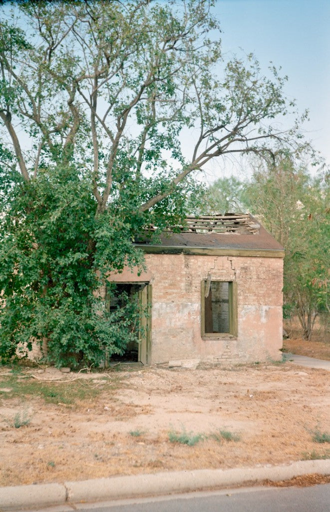 Zeiss Super Ikonta 531/2 / 120 + Kodak Vision3 50D + Dilapidated single-story brick building with collapsed roof and overhanging tree