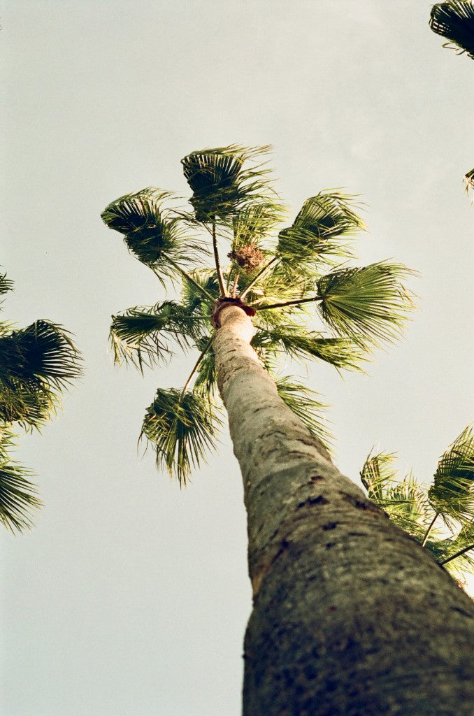 Lucky 400 Color Film Sample Photos