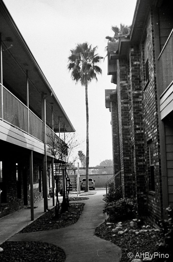 ORWO Wolfen NP100 100 BW Film Sample Photos (35mm B&W)
