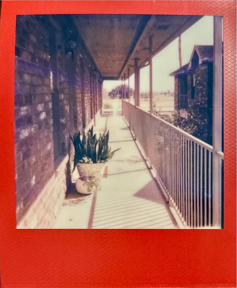 Polaroid Color i-Type Color Frames Edition Film Sample Photos