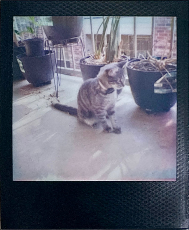 Polaroid Go Film Sample Photos