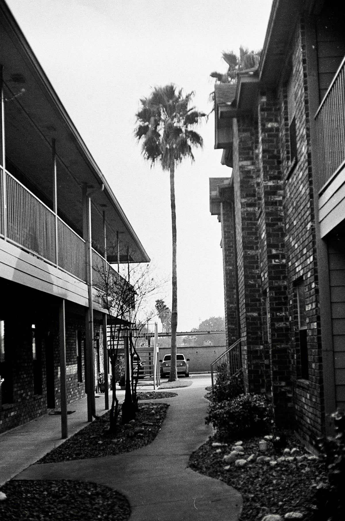ORWO Wolfen NP100 Film Sample Photos (35mm B&W)