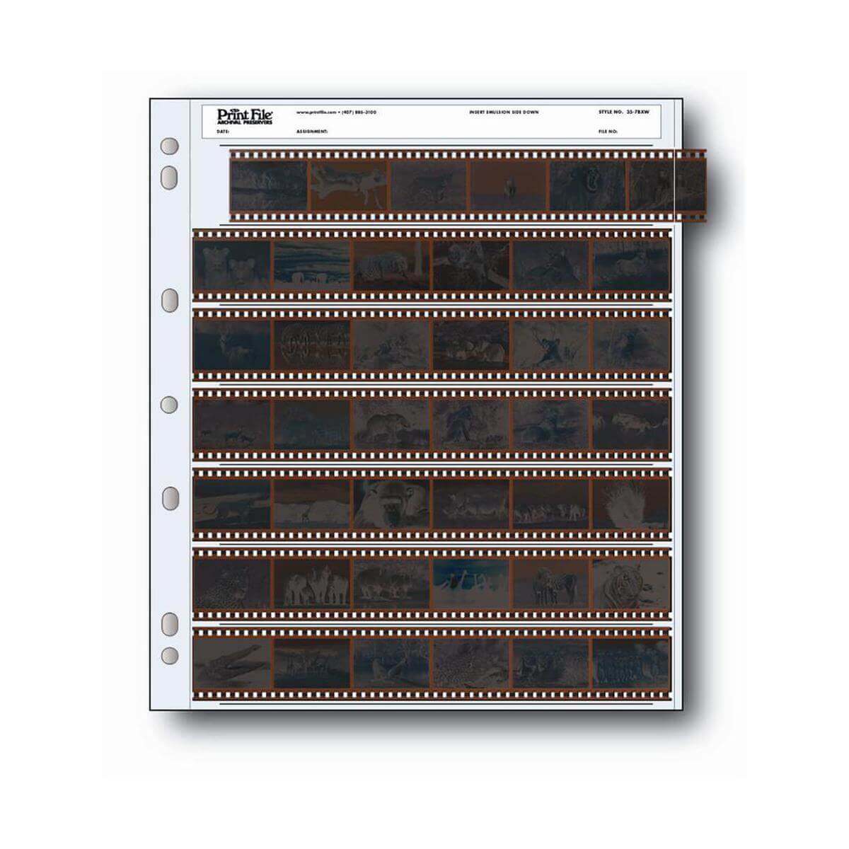 Print file 30-frame film strip organizer with six rows of dark, perforated negatives in a white binder page.
