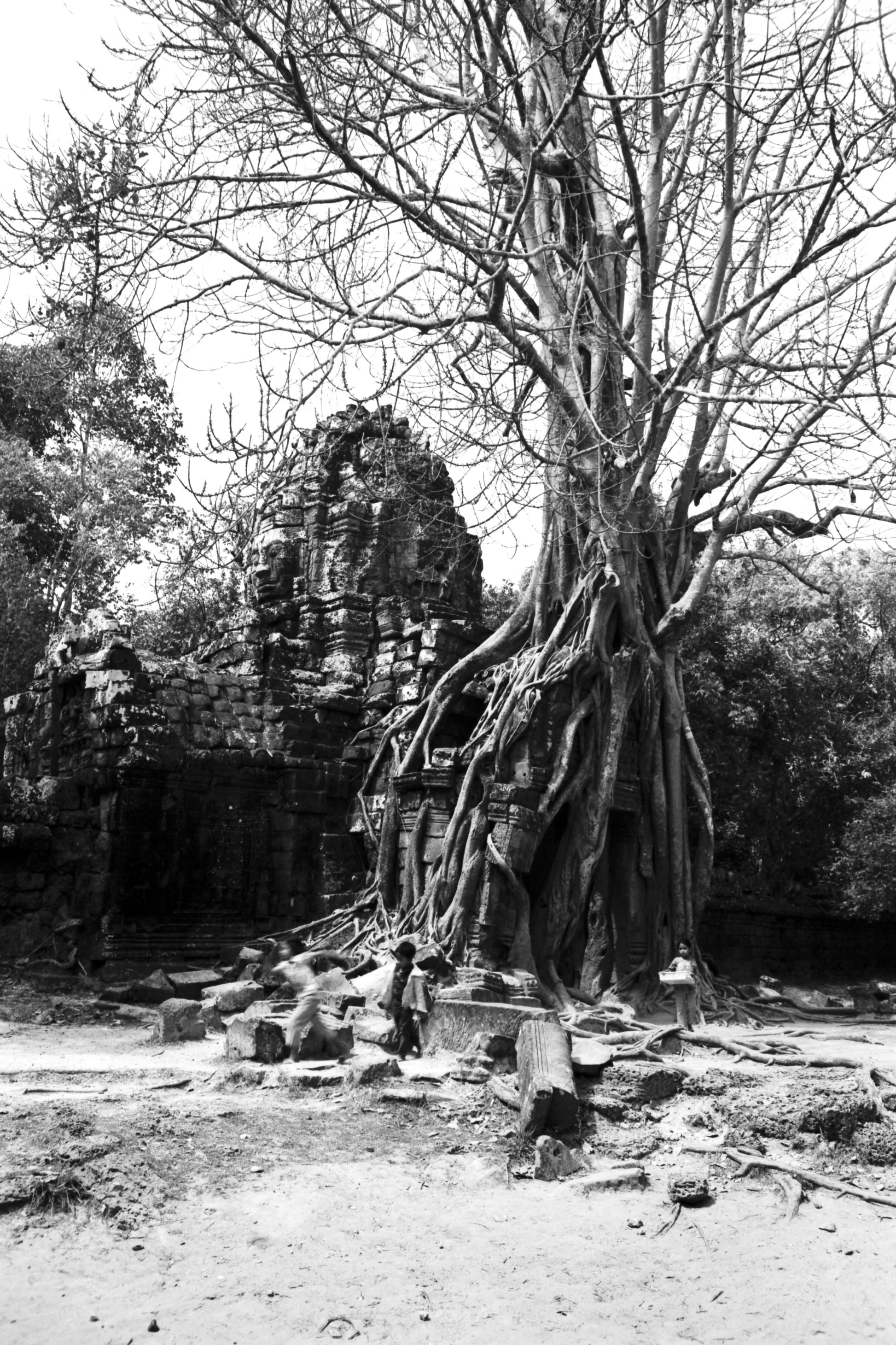 Temple ruins with a tree in the foreground shot on Rollei Retro 80S BW 35mm, 36 Exp Film