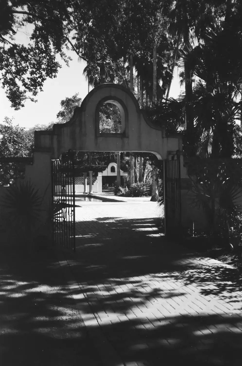 Arched stone gateway with iron gates and palms, shot on catlabs x film kodak tri-x