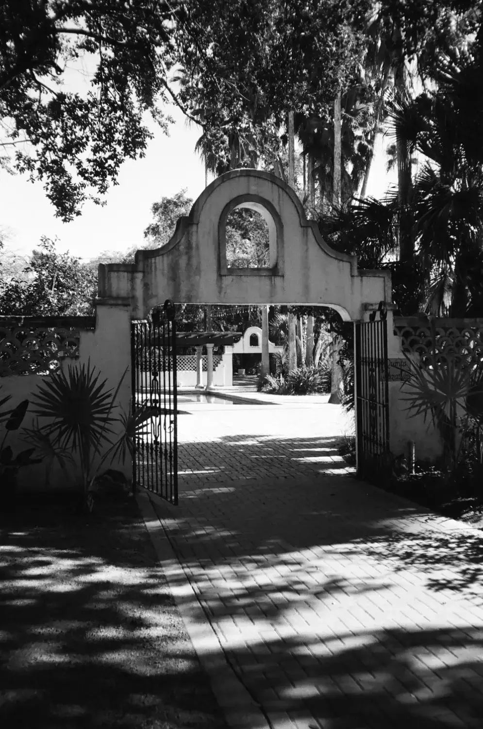 Arched stone gateway framed by tropical foliage, shot on Catlabs x film Kodak Tri-X