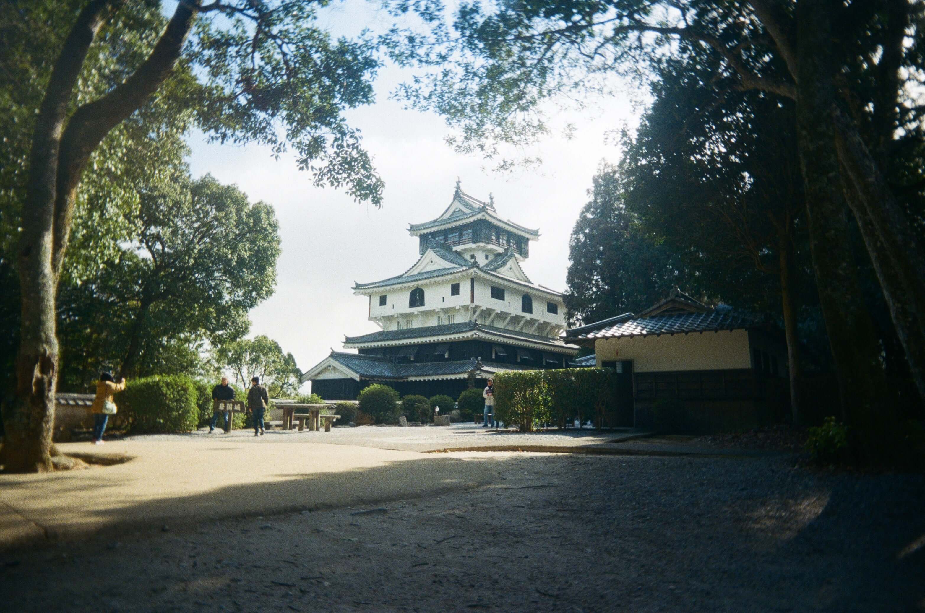 Historic Japanese castle surrounded by trees, showcasing traditional architecture and a serene atmosphere.