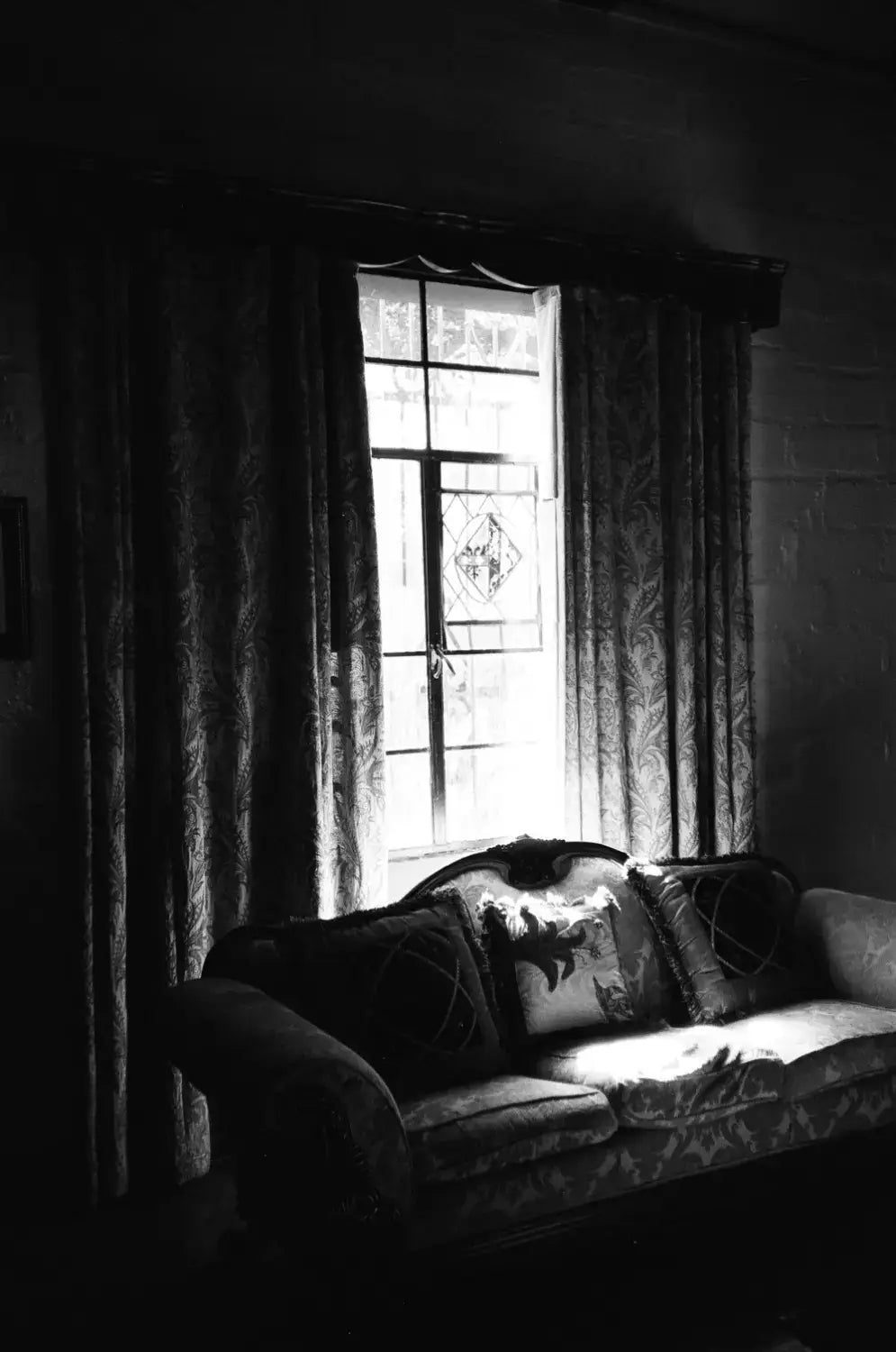 Dark patterned sofa in dimly lit room shot on Catlabs x film Kodak Tri-X