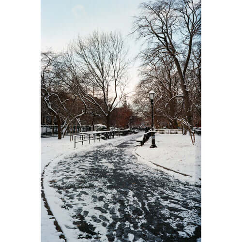 Snow-covered park path winding through bare trees with lampposts and benches.