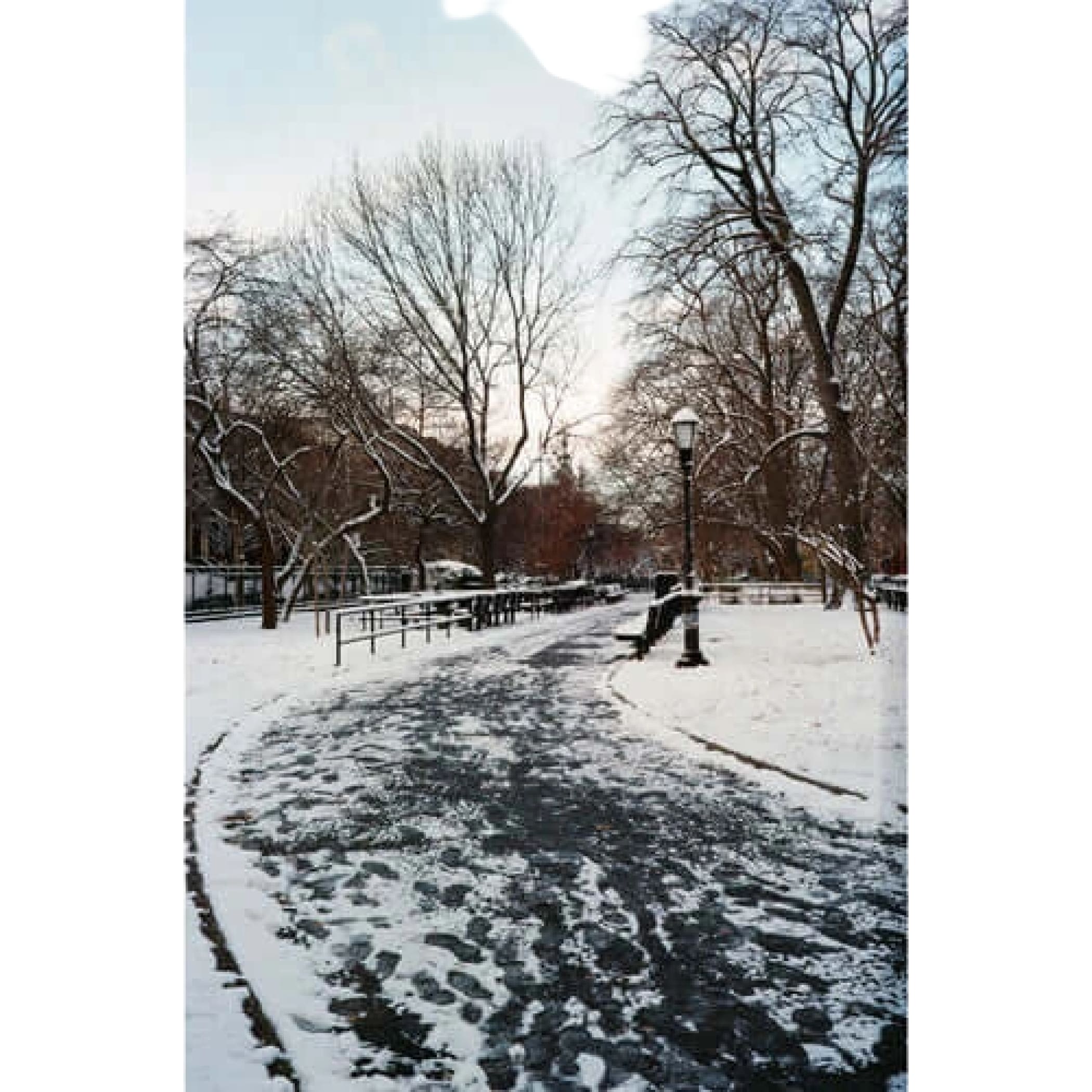 Snow-covered park path winding through bare trees with lampposts and benches.