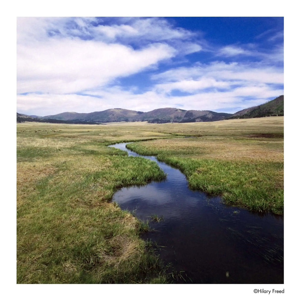 A winding, dark blue stream meanders through a vast expanse of green and golden grasslands under a bright sky with scattered white clouds.
