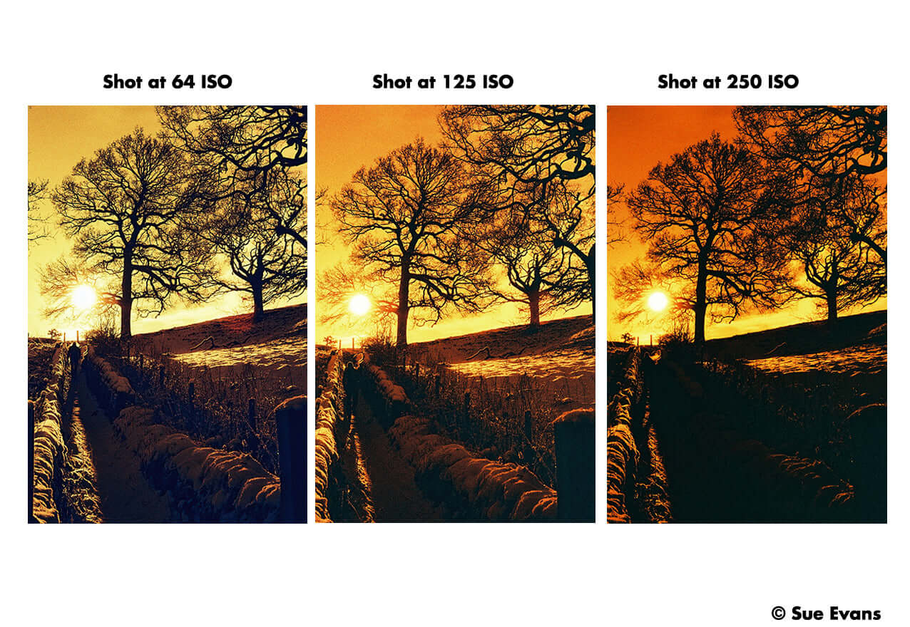 Comparison of images shot at 64, 125, and 250 ISO showcasing different exposure effects with trees and sunset.