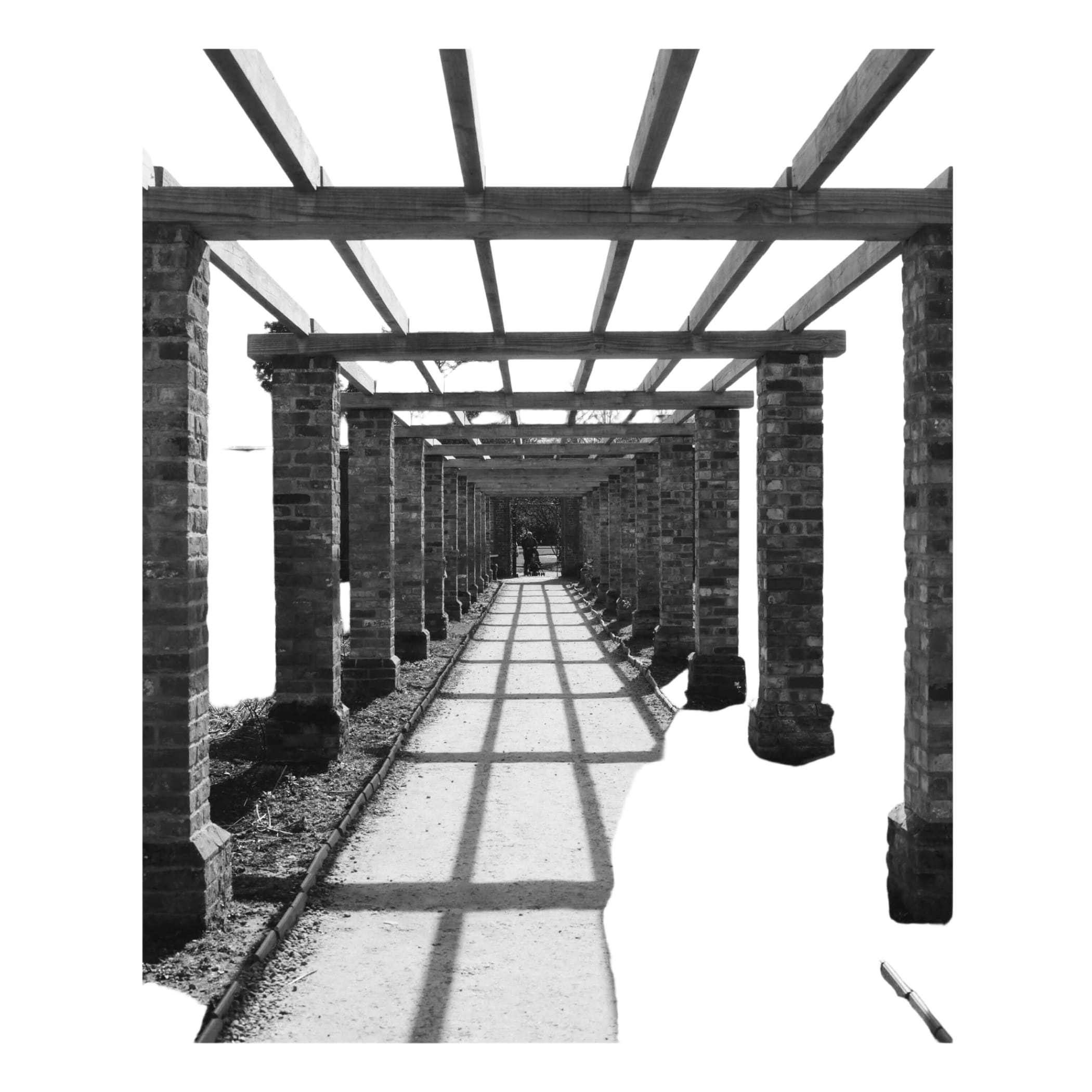 Brick and wood pergola with repeating arches casting geometric shadows across a paved pathway.