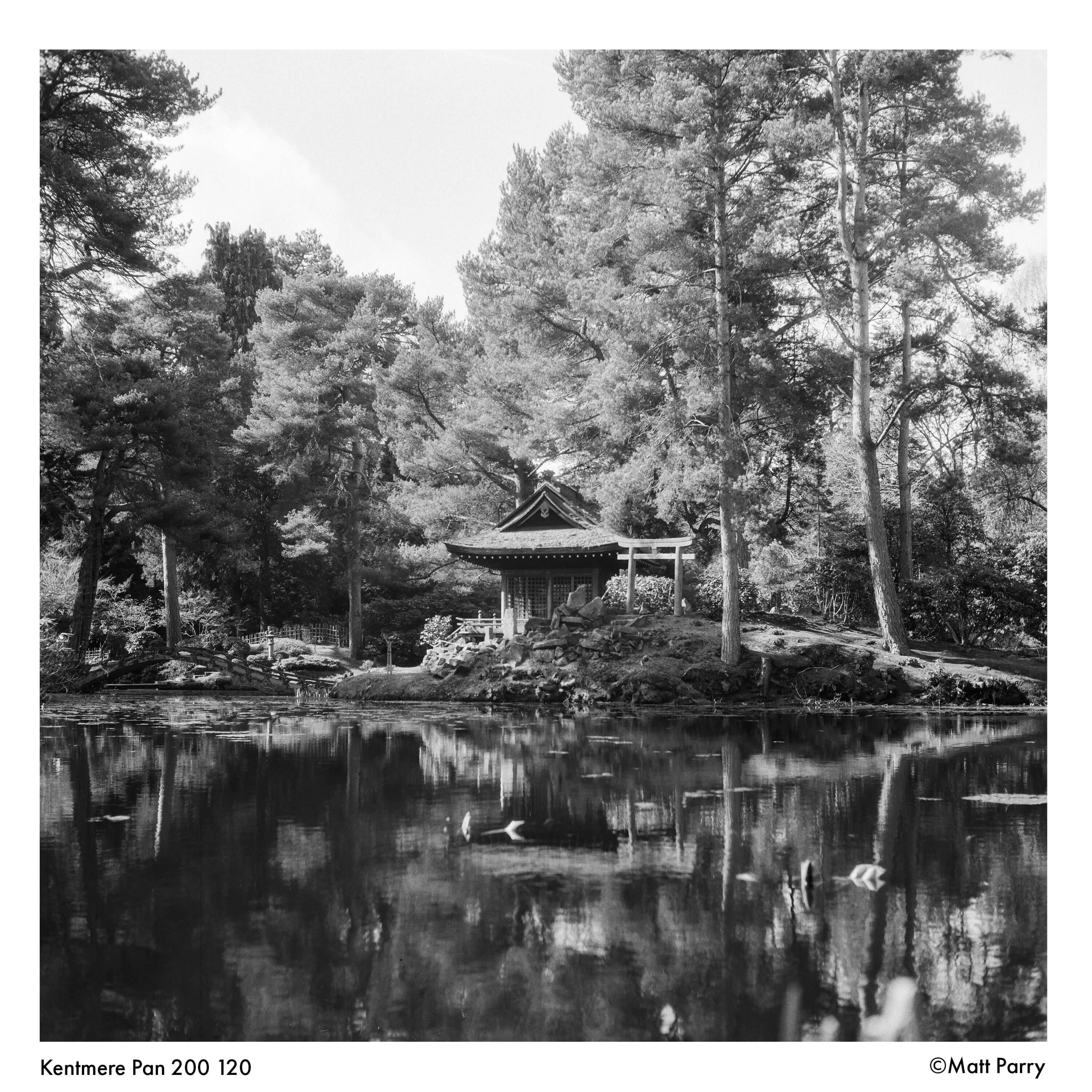 Kentmere Pan 200 BW film capturing a tranquil scene of a pagoda by a serene pond surrounded by trees.