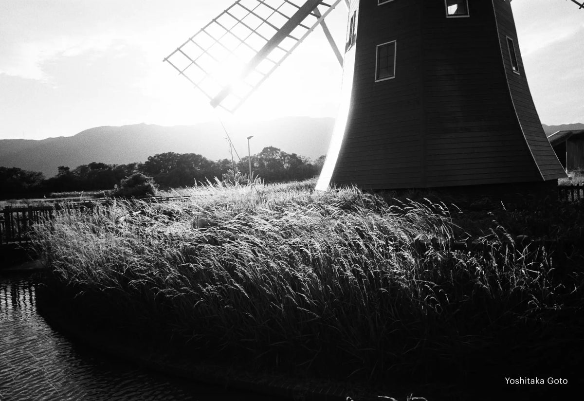 A classic wooden windmill with a dark, weathered body and light-colored lattice blades stands against the sunlit horizon.