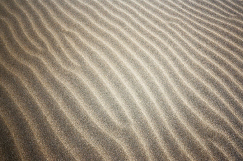 Fine, golden sand forms smooth, undulating ridges across the surface.