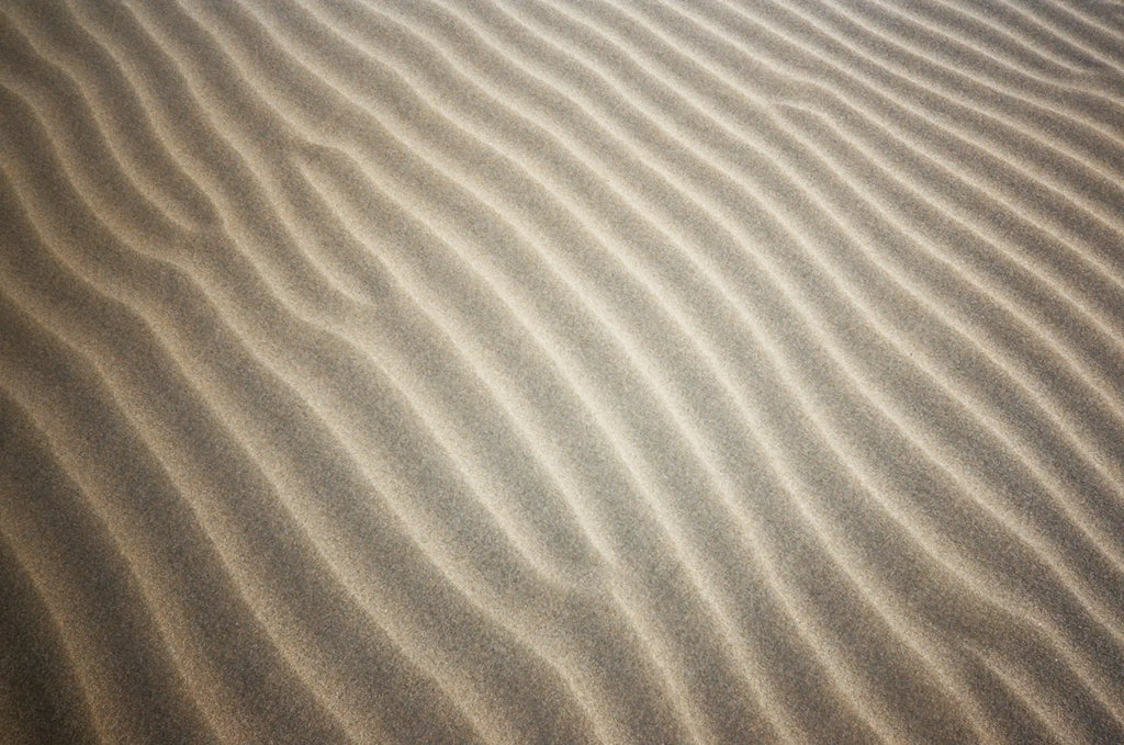 Fine, golden sand forms smooth, undulating ridges across the surface.