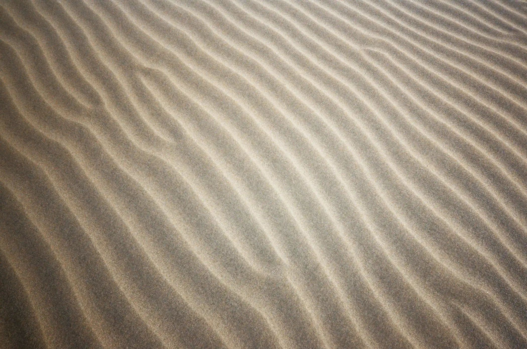 Fine, golden sand forms smooth, undulating ridges across the surface.