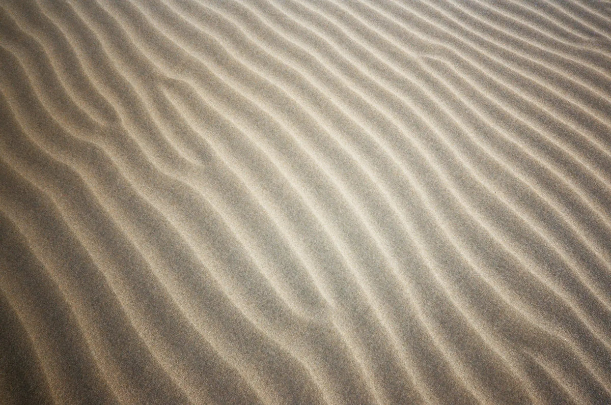 Fine, golden sand forms smooth, undulating ridges across the surface.