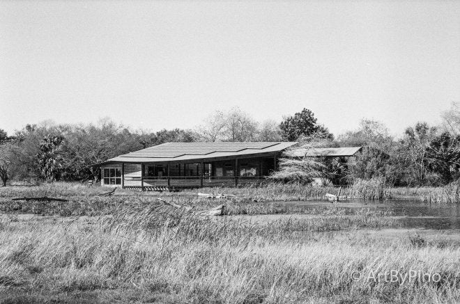 Low-slung house among trees, full-size Epson V600 scan view.