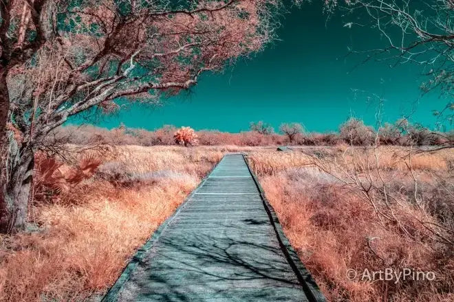 Weathered boardwalk in Estero Llano Grande State Park under teal sky