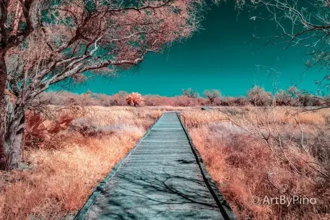 Weathered boardwalk in Estero Llano Grande State Park under teal sky