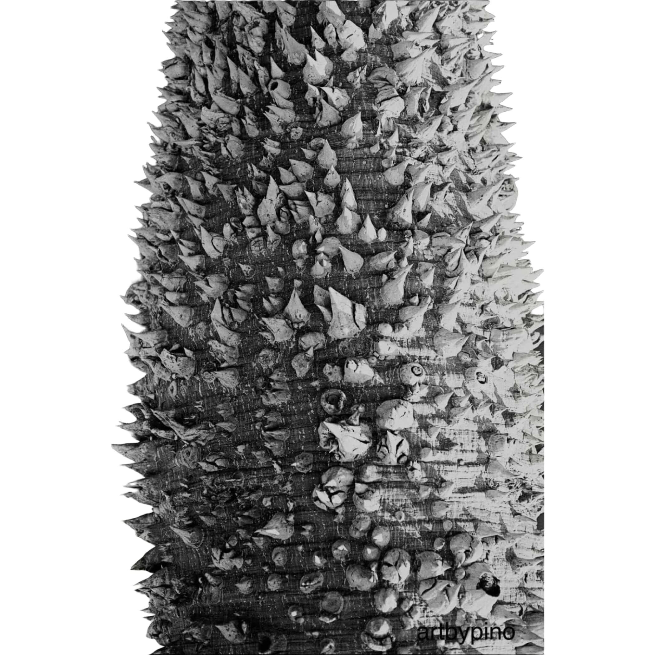 A close-up of a spiky, textured tree trunk with dense clusters of sharp, pointed protrusions.