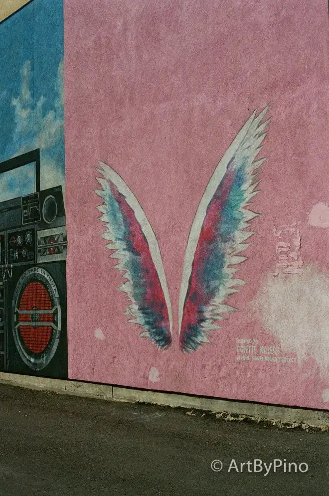 Pink and blue feathered wings on textured pink wall, texas view fullsize