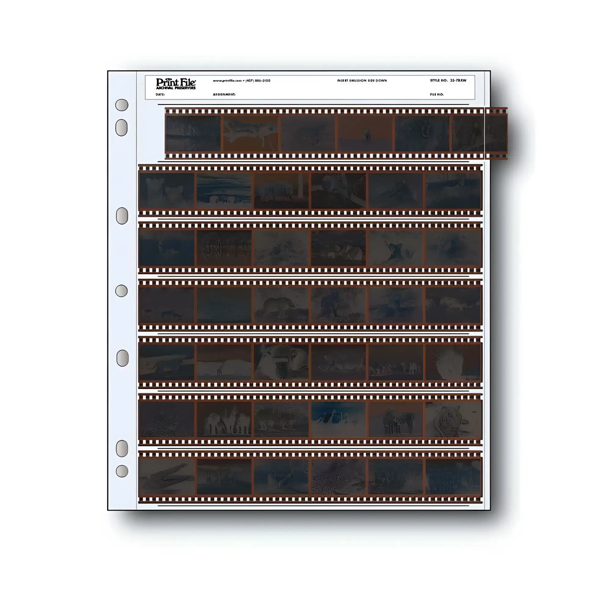 Print file 30-frame film strip organizer with six rows of dark, perforated negatives in a white binder page.