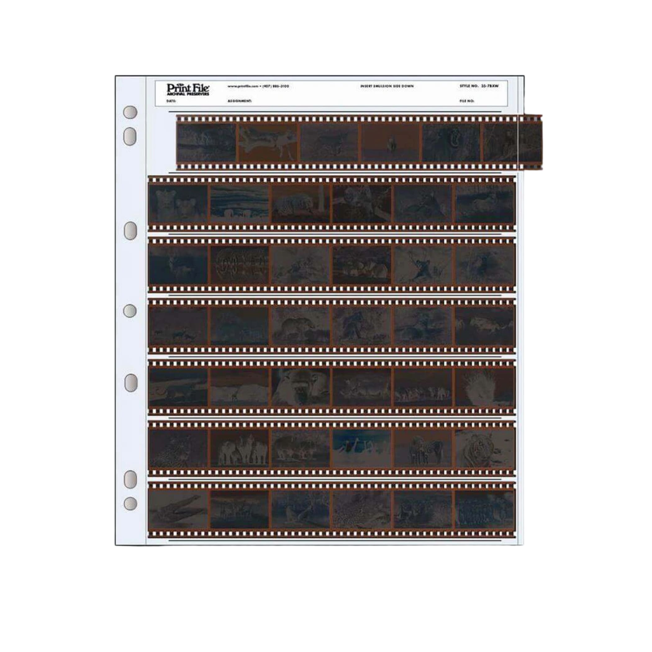 Print file 30-frame film strip organizer with six rows of dark, perforated negatives in a white binder page.