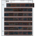 Print File archival storage page for 35mm negatives, 7 strips x 6 frames, showcasing film preservation features.