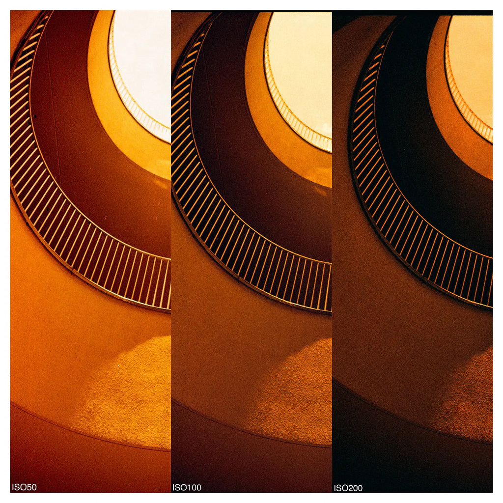 Reflx Lab Diablo 100 Red Scale Film 35x36