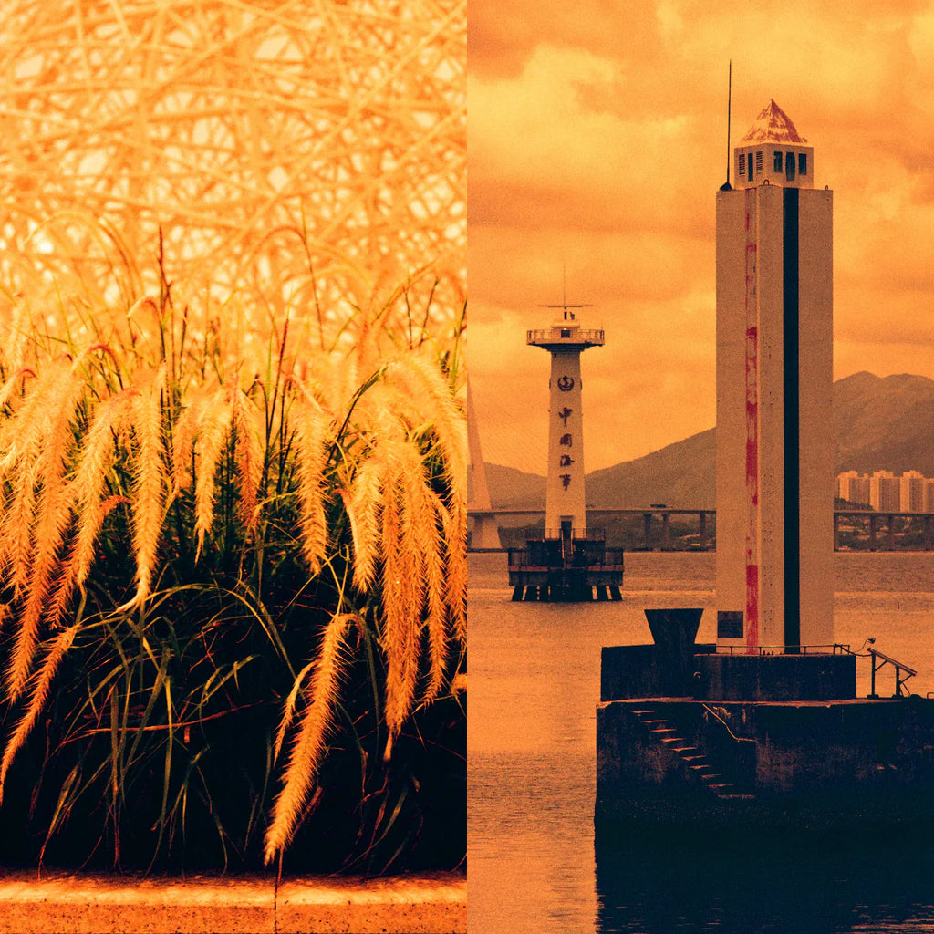 Reflx Lab Diablo 100 Red Scale Film 35x36