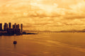 Reflx Lab Diablo 100 Red Scale Film 35x36