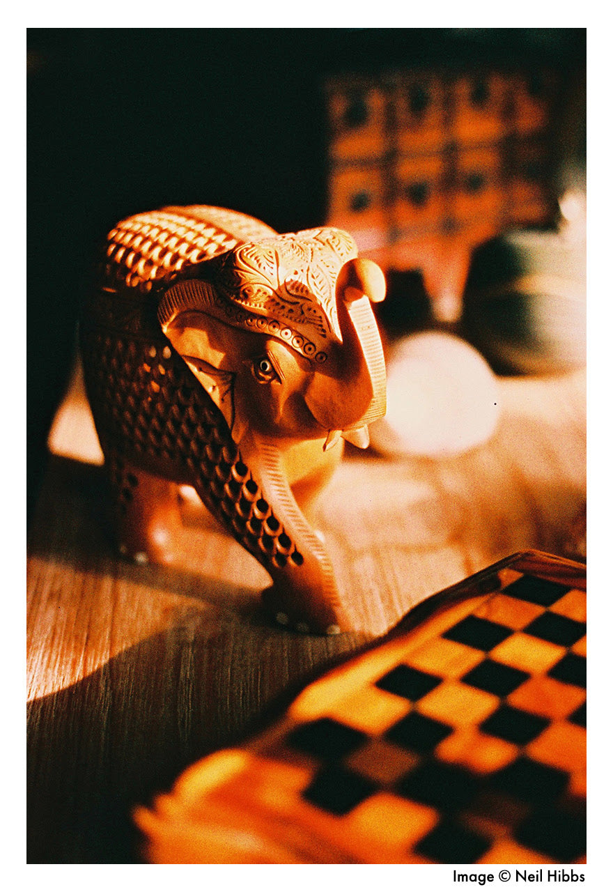Carved wooden elephant by checker board photographed on harman phoenix 35mm film Neil Hibbs