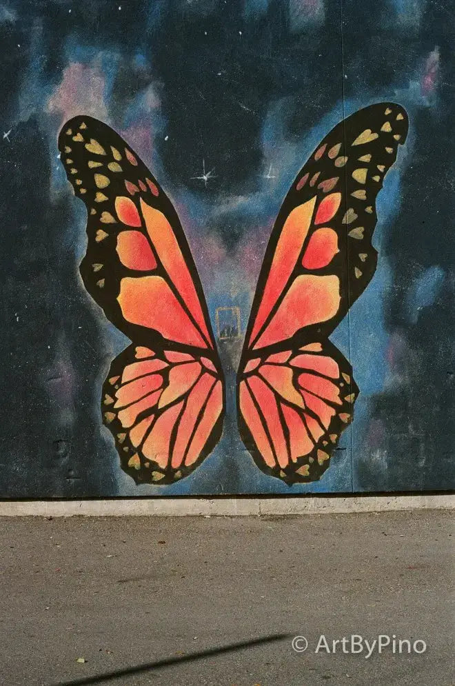 Monarch butterfly mural on starry sky in Texas view fullsize film comparison