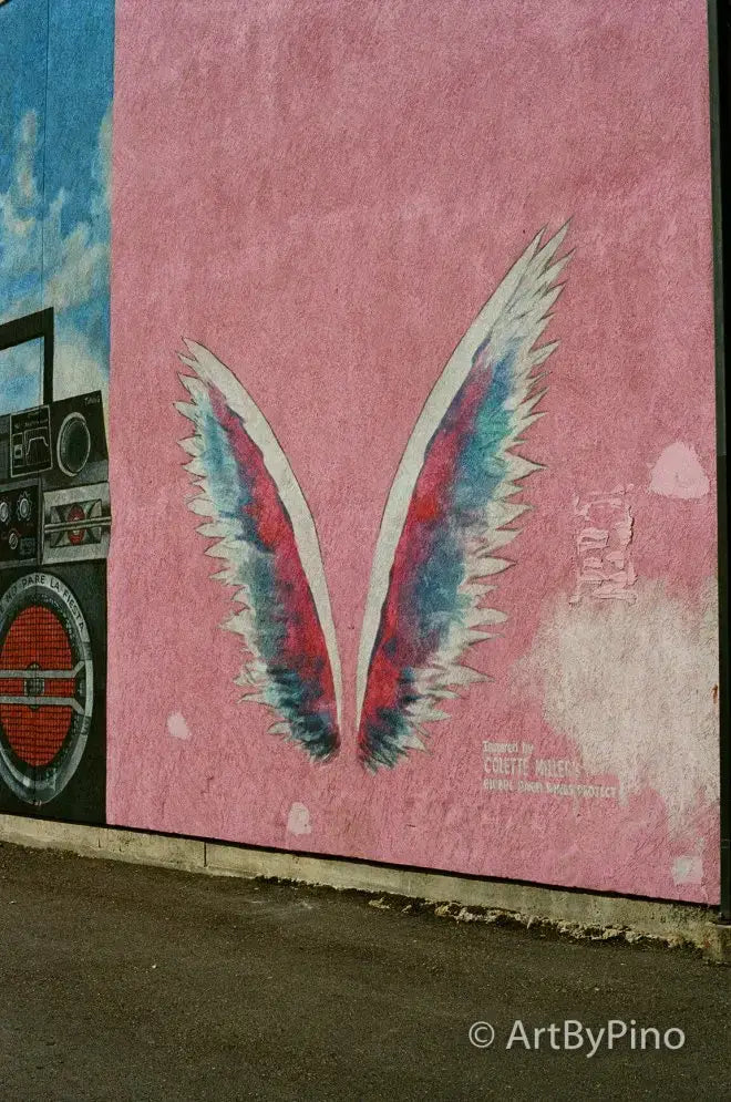 Vibrant pink mural of feathered wings on textured wall, Texas view fullsize