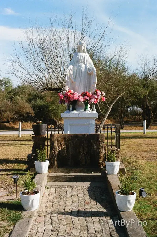 White marble statue with flowers, film comparison view fullsize