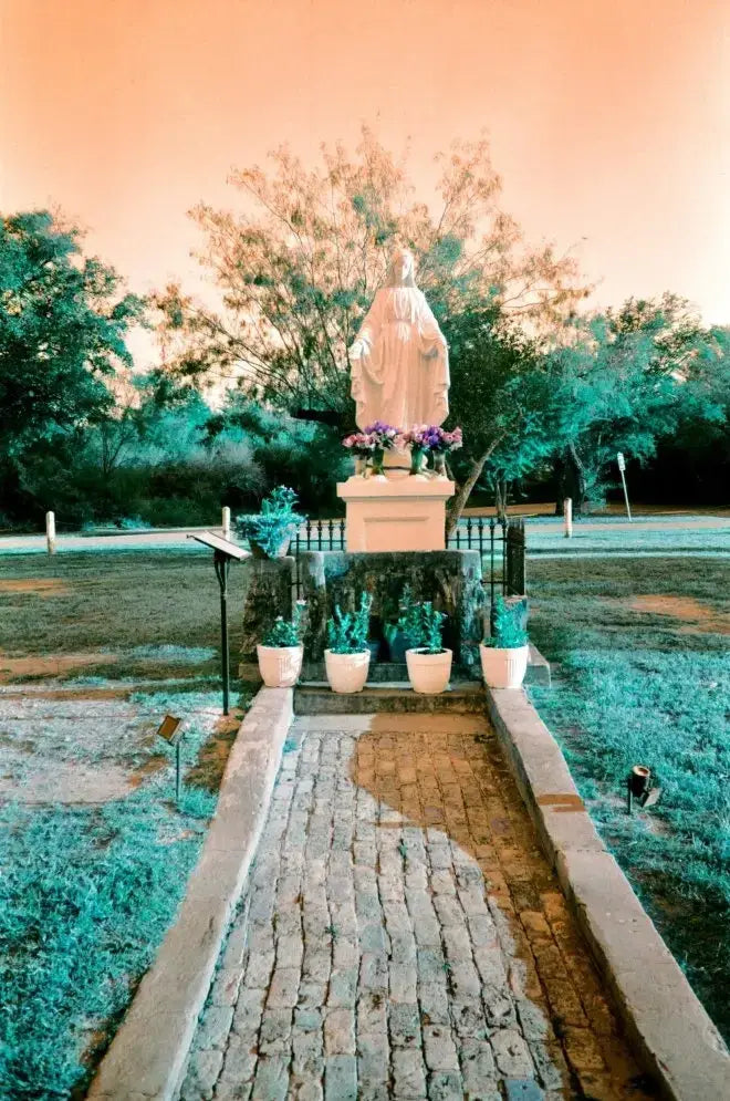 White marble statue on pedestal amid plants, Lomography turquoise film scene