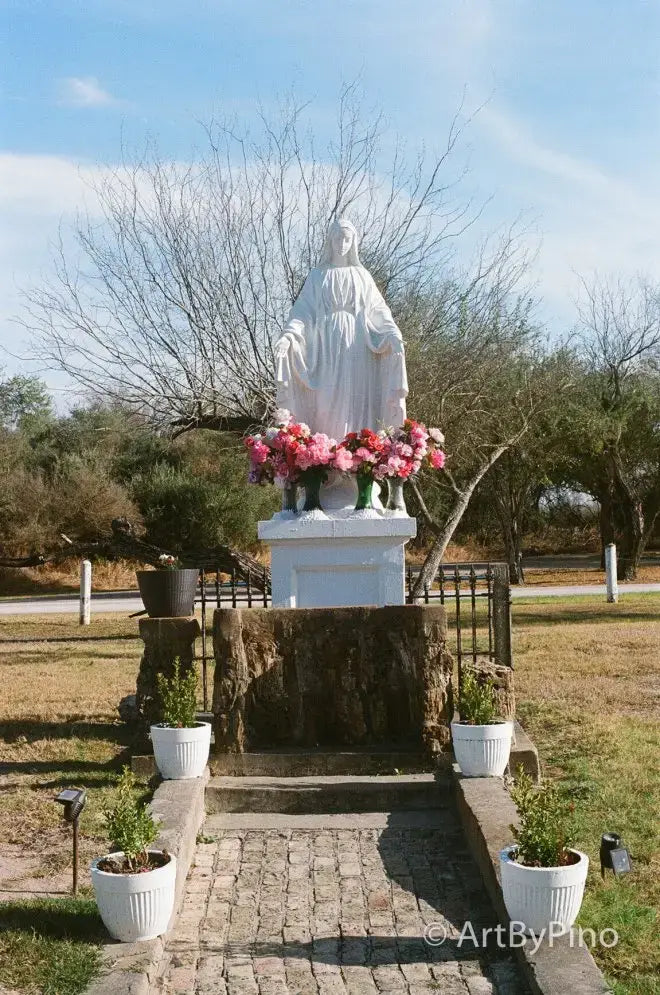 White marble Virgin Mary statue with flowers, Texas view fullsize
